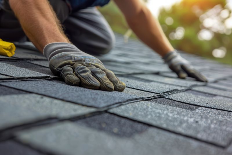Shingle Repair